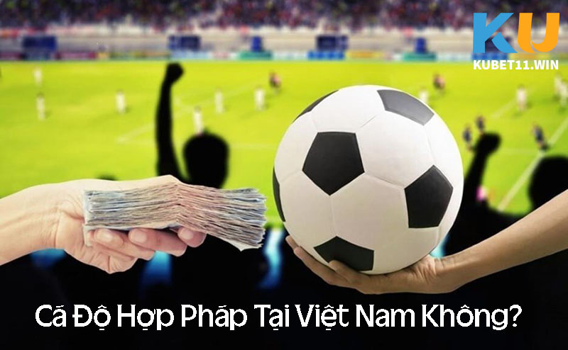 Cá độ hợp pháp tại Việt Nam không? Nên cá độ như thế nào?